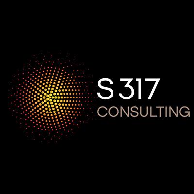 S317 Consulting Lda.