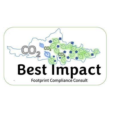 Best Impact Consulting
